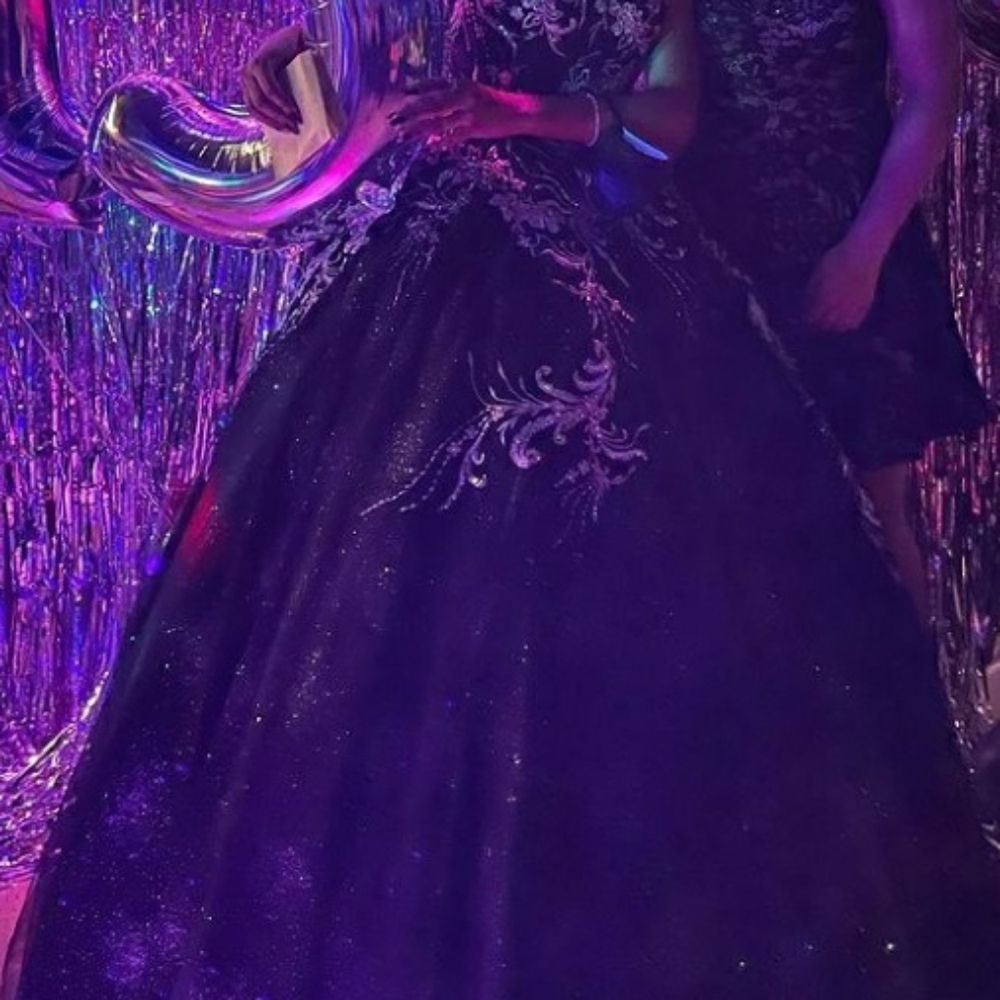 Size 8 Princess quinceañera dress